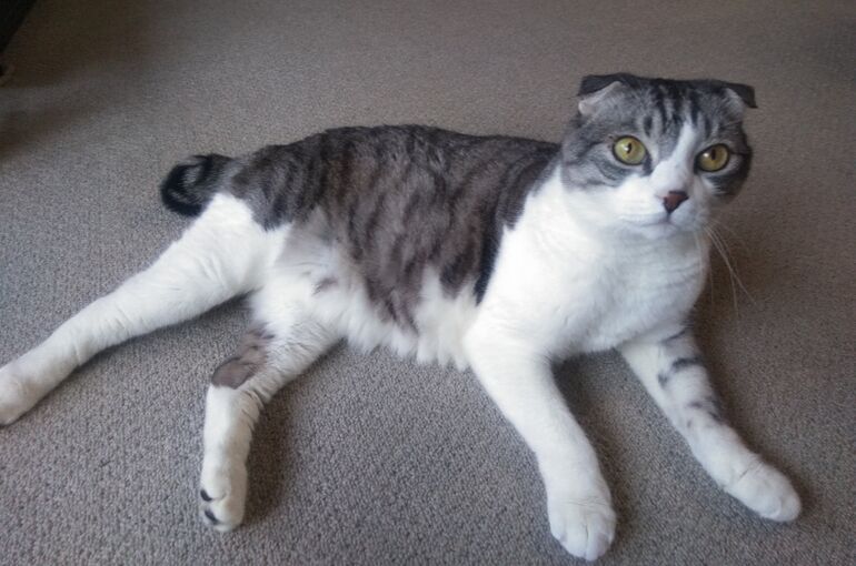 IMG-20190524-072316